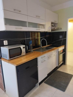 Apartament Vasek
